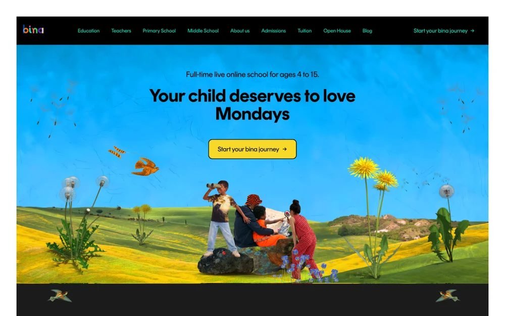 Homepage design of bina