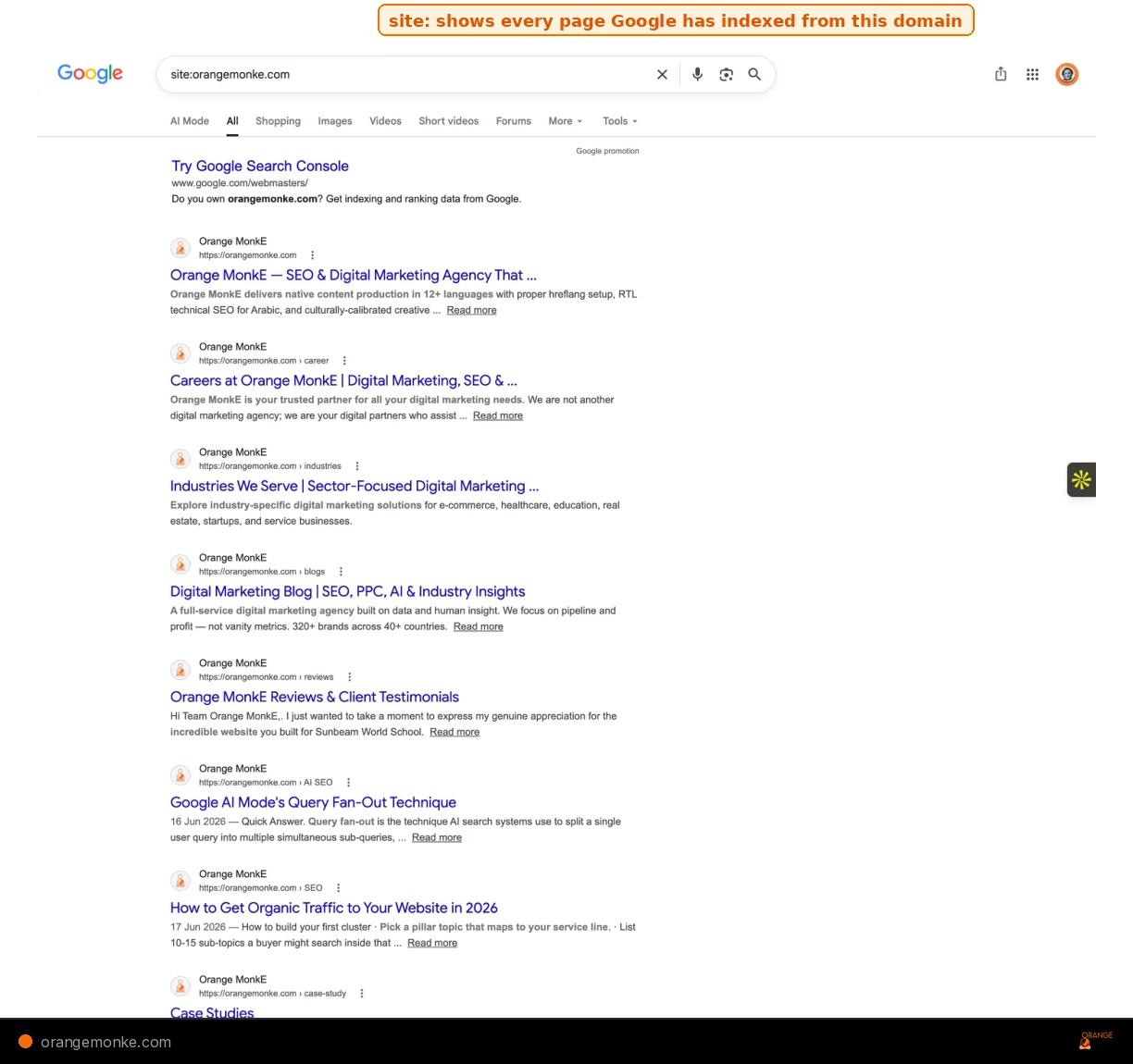 Google search results page showing the site: operator filtering results to a single domain